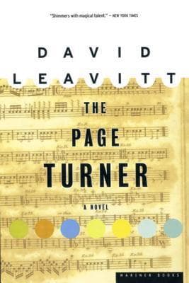 The Page Turner book cover