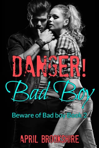 Danger! Bad Boy book cover