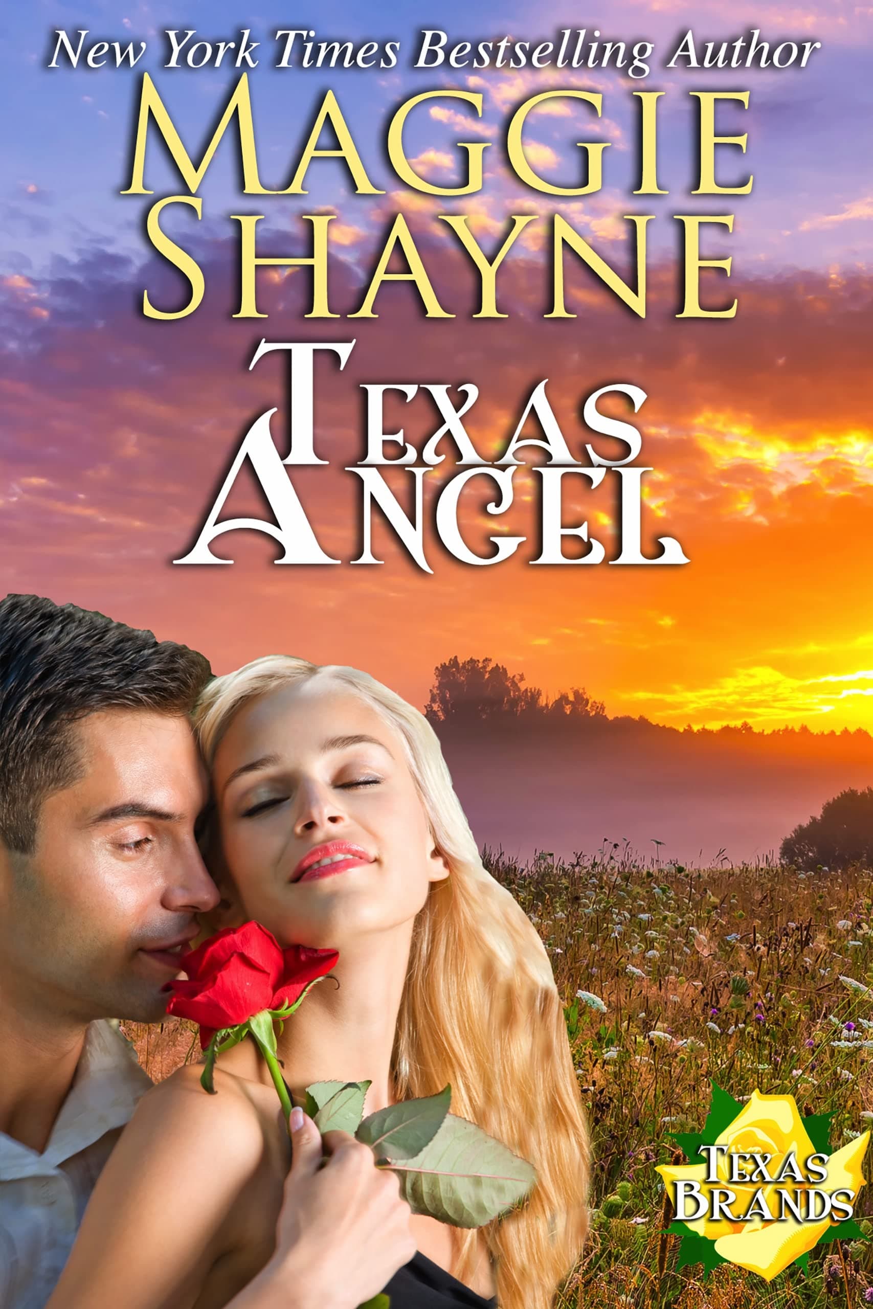 Texas Angel book cover