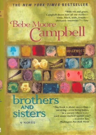 Brothers and Sisters book cover