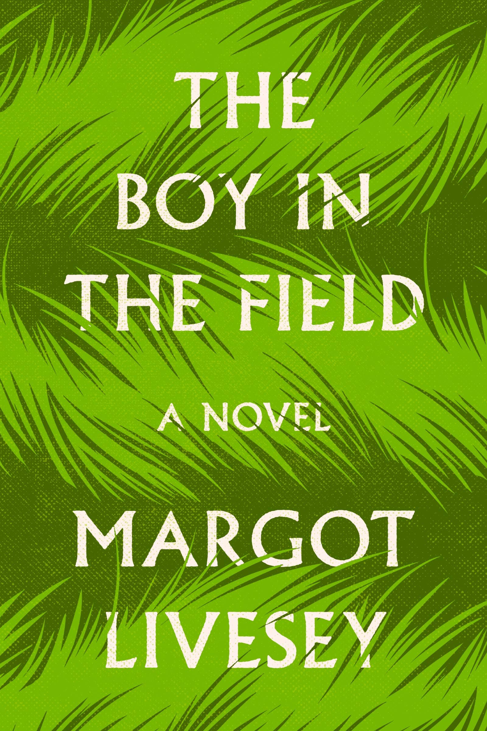 The Boy in the Field book cover