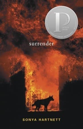 Surrender book cover