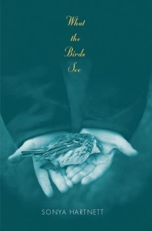 What the Birds See book cover
