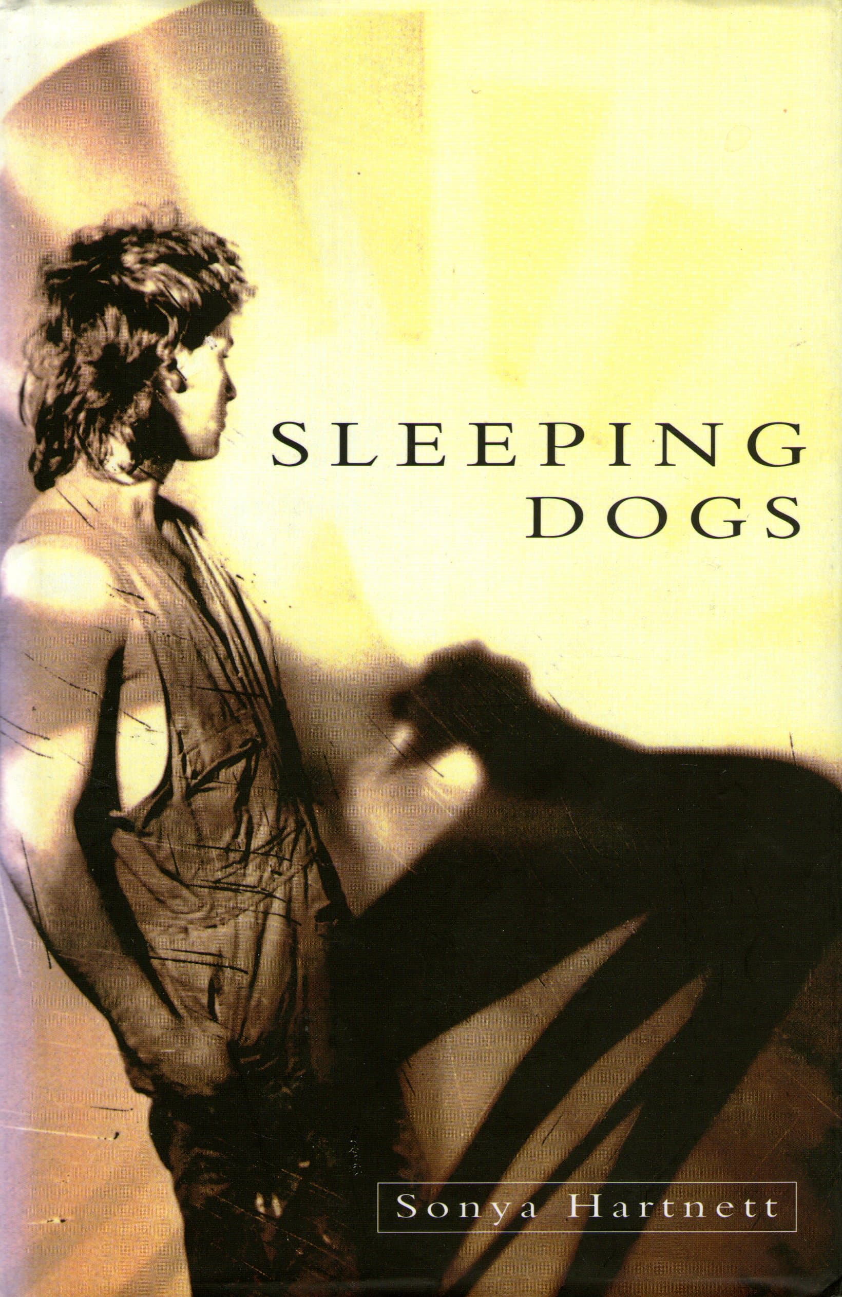 Sleeping Dogs book cover