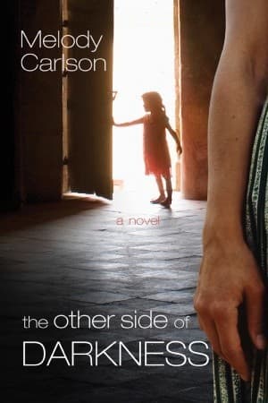 The Other Side of Darkness book cover