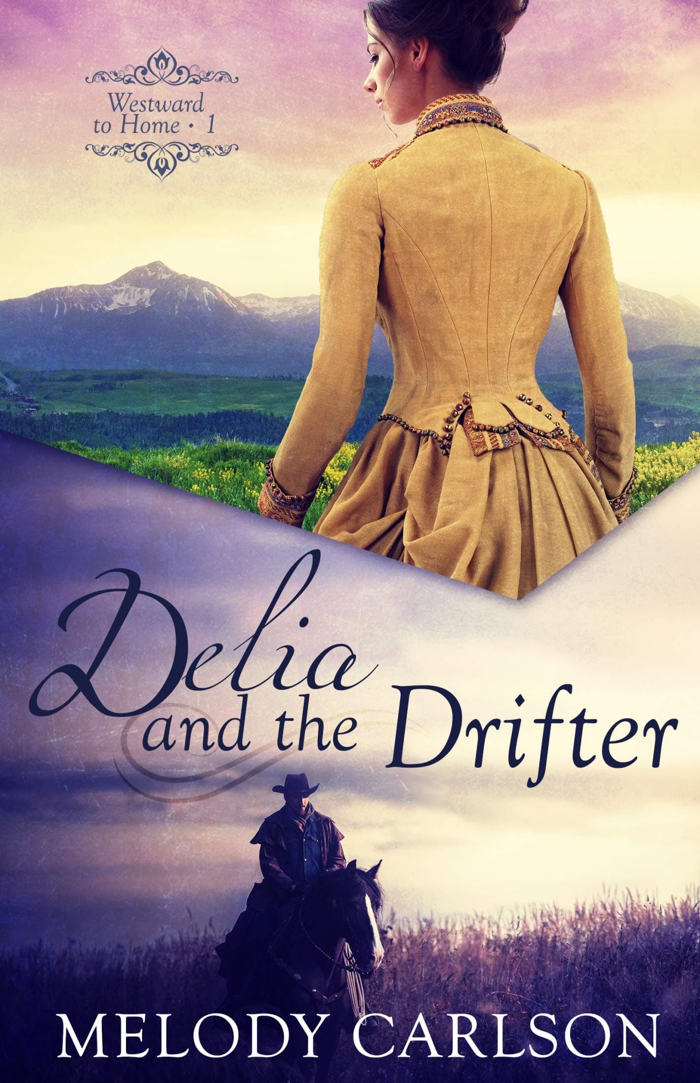 Delia and the Drifter book cover