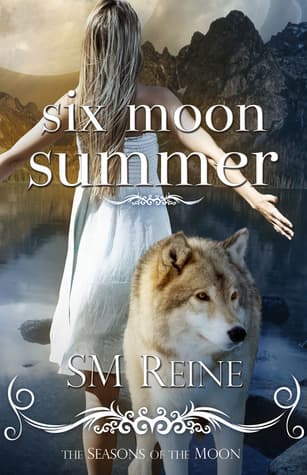 Six Moon Summer book cover