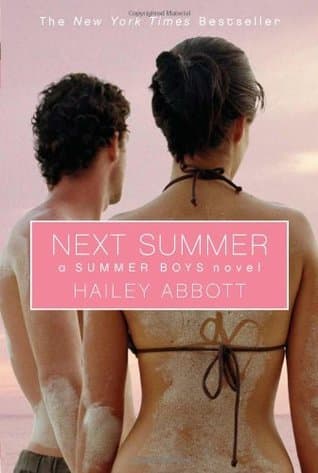 Next Summer book cover