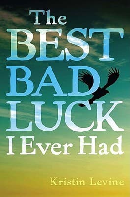 The Best Bad Luck I Ever Had book cover