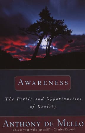 Awareness: The Perils and Opportunities of Reality book cover