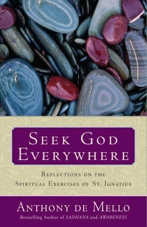 Seek God Everywhere: Reflections on the Spiritual Exercises of St. Ignatius book cover