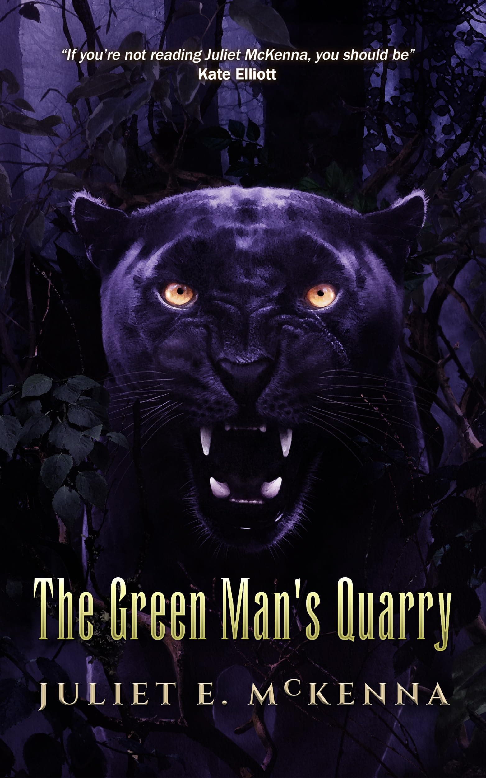 The Green Man's Quarry book cover