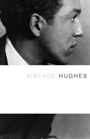 Vintage Hughes book cover