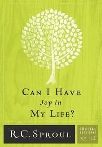 Can I Have Joy In My Life? book cover
