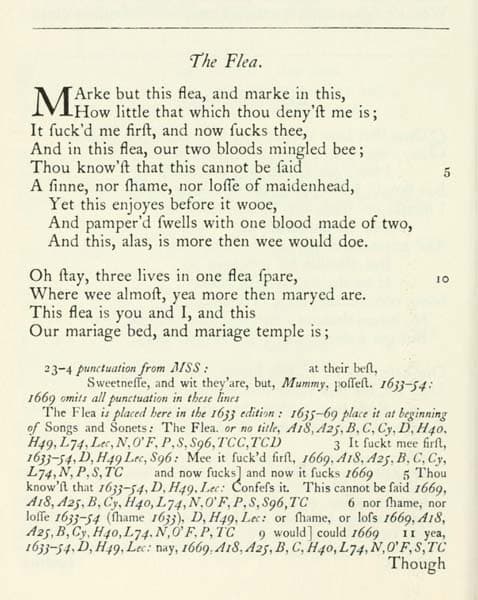 The Flea book cover