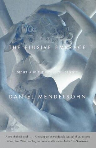 The Elusive Embrace: Desire and the Riddle of Identity book cover