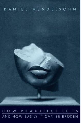 How Beautiful It Is and How Easily It Can Be Broken book cover