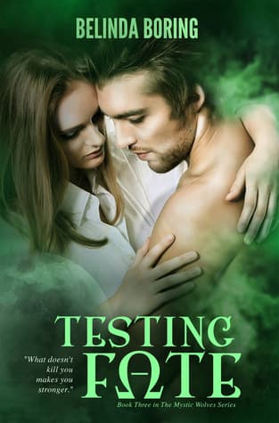 Testing Fate book cover