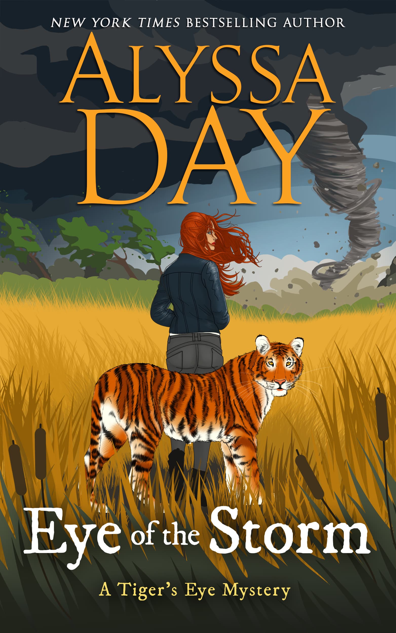 Eye of the Storm book cover