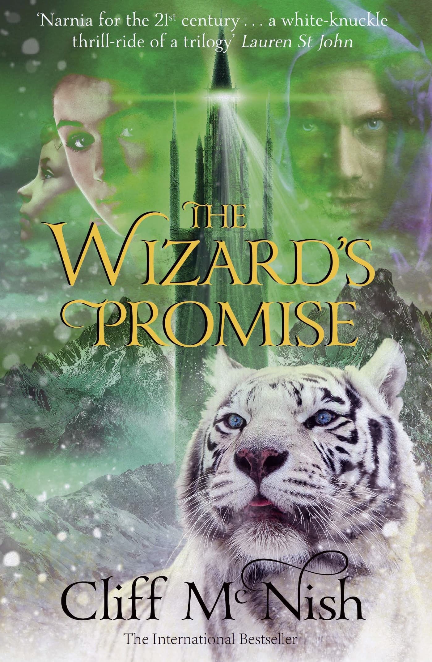 The Wizard's Promise book cover