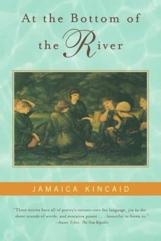 At the Bottom of the River book cover