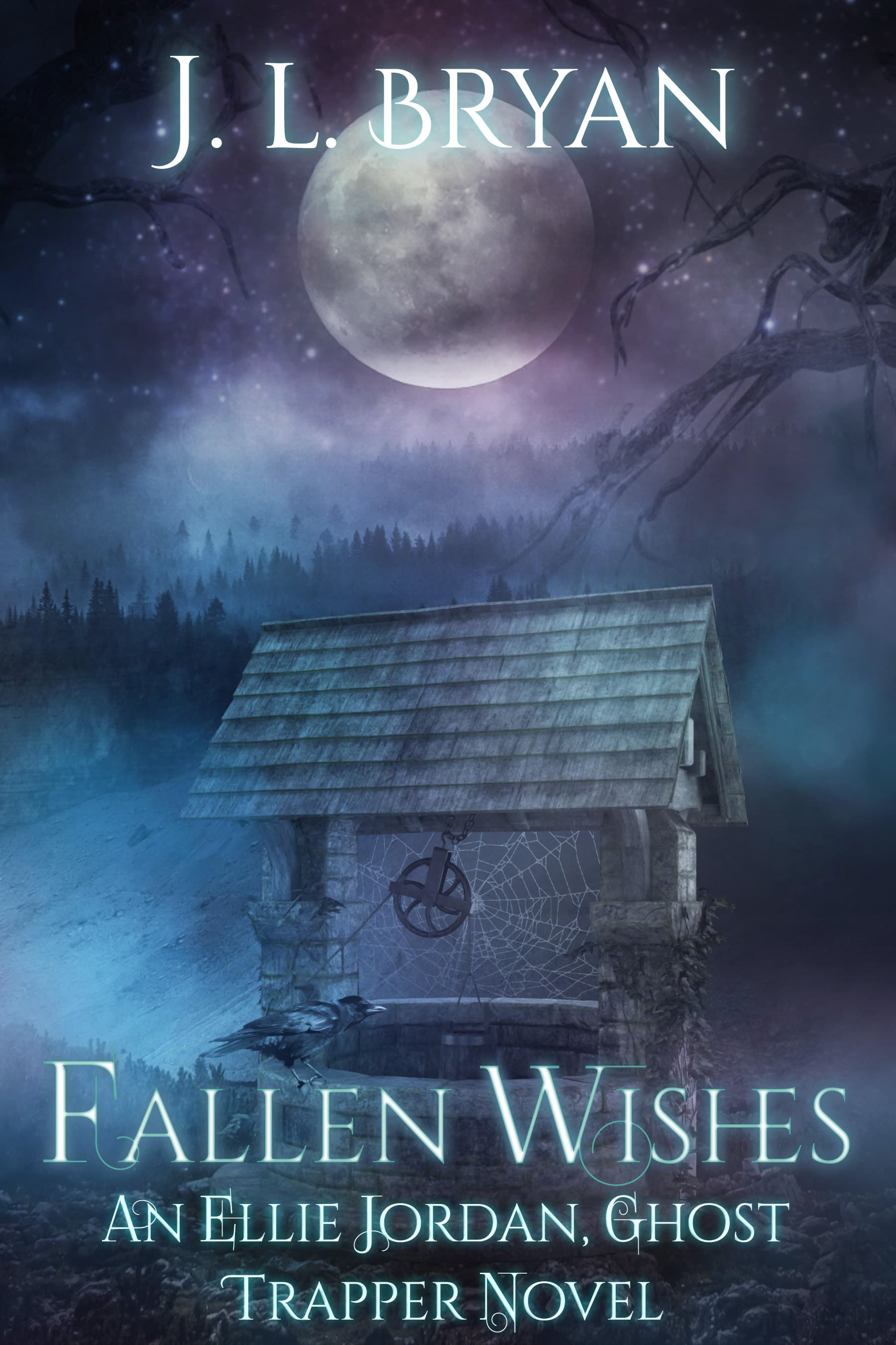 Fallen Wishes book cover