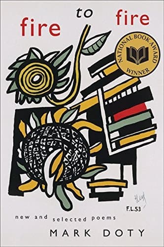 Fire to Fire book cover