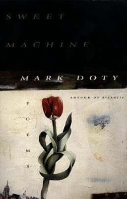 Sweet Machine book cover