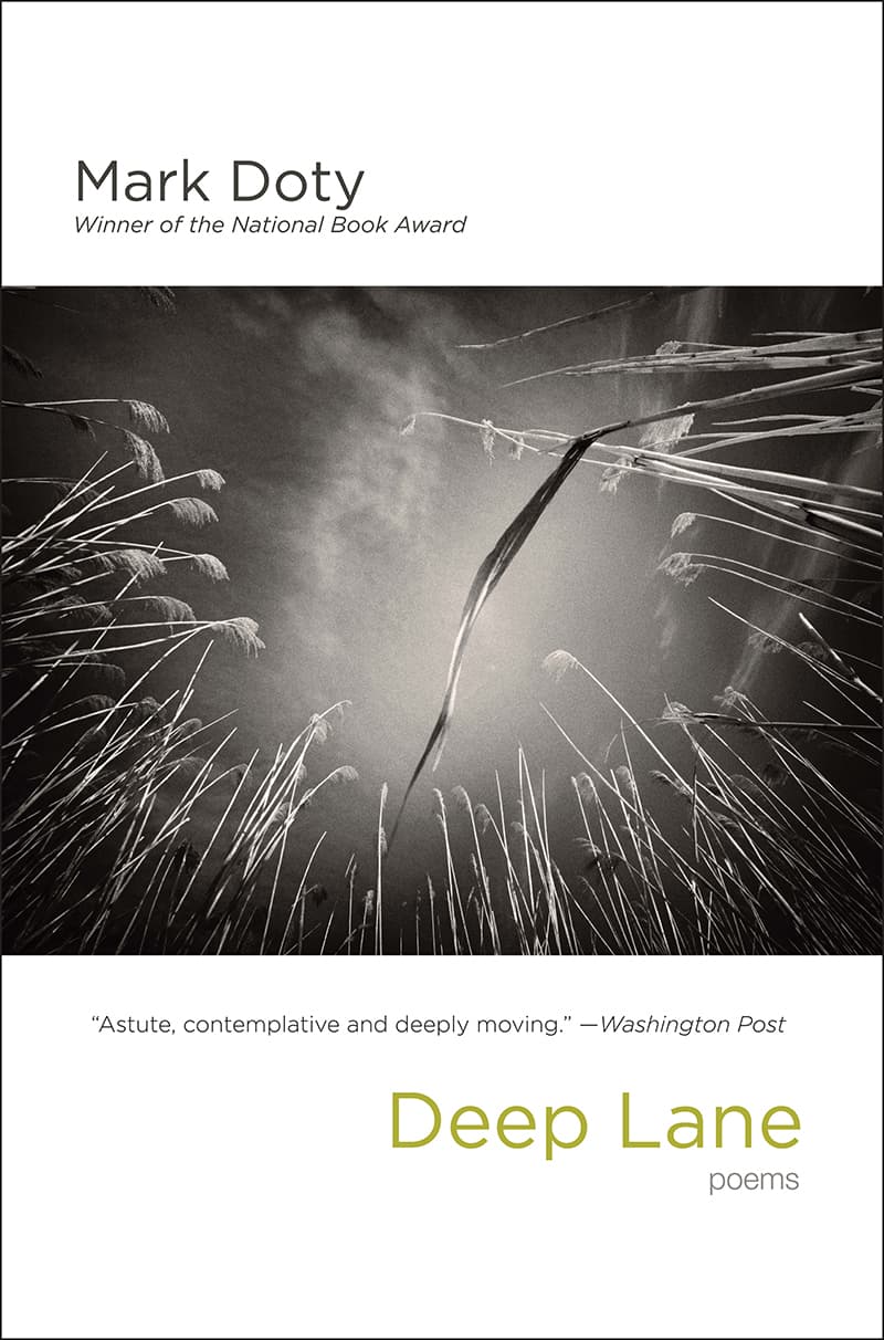 Deep Lane: Poems book cover