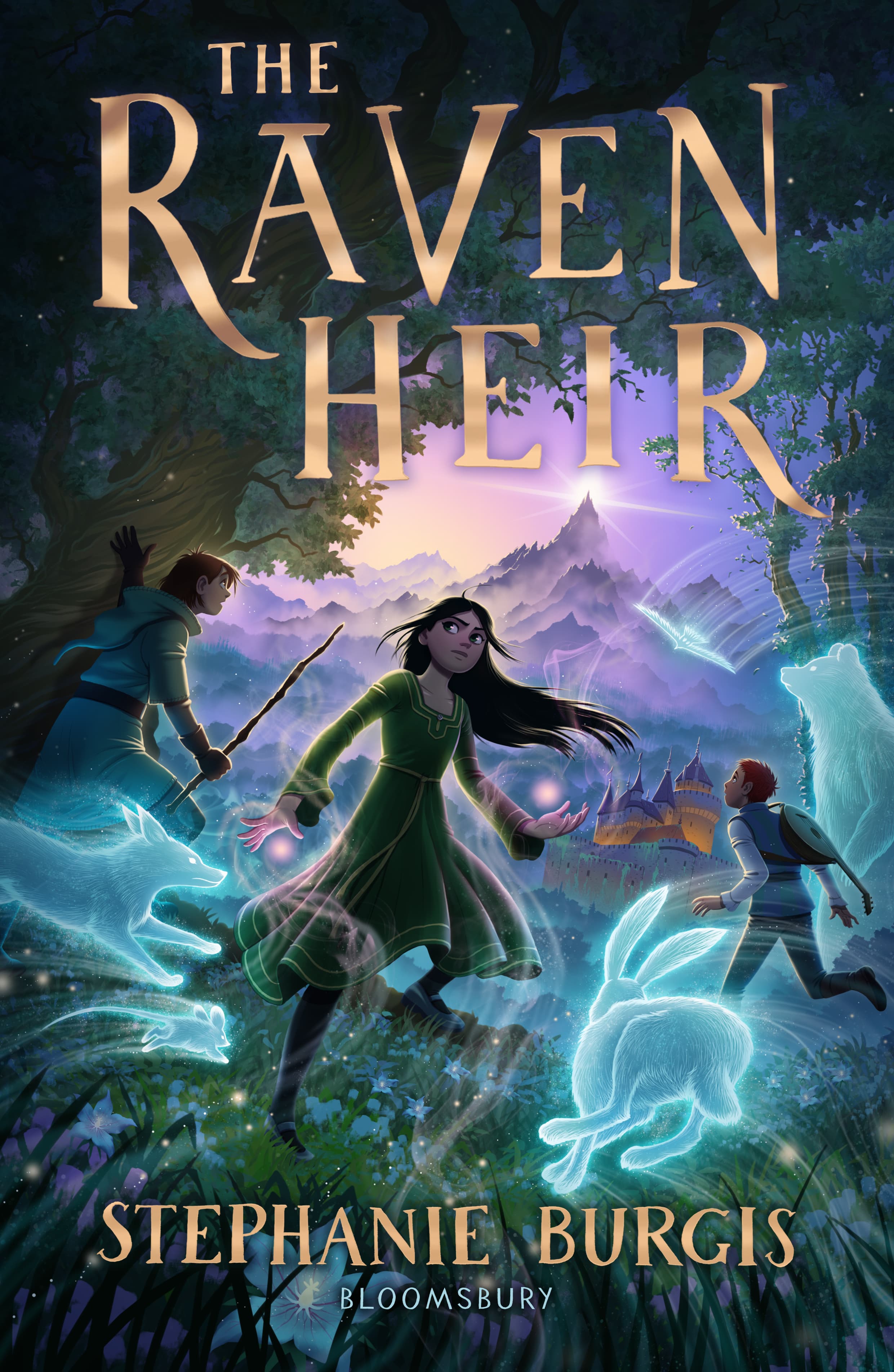 The Raven Heir book cover