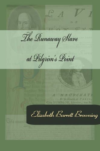 The Runaway Slave at Pilgrim's Point book cover