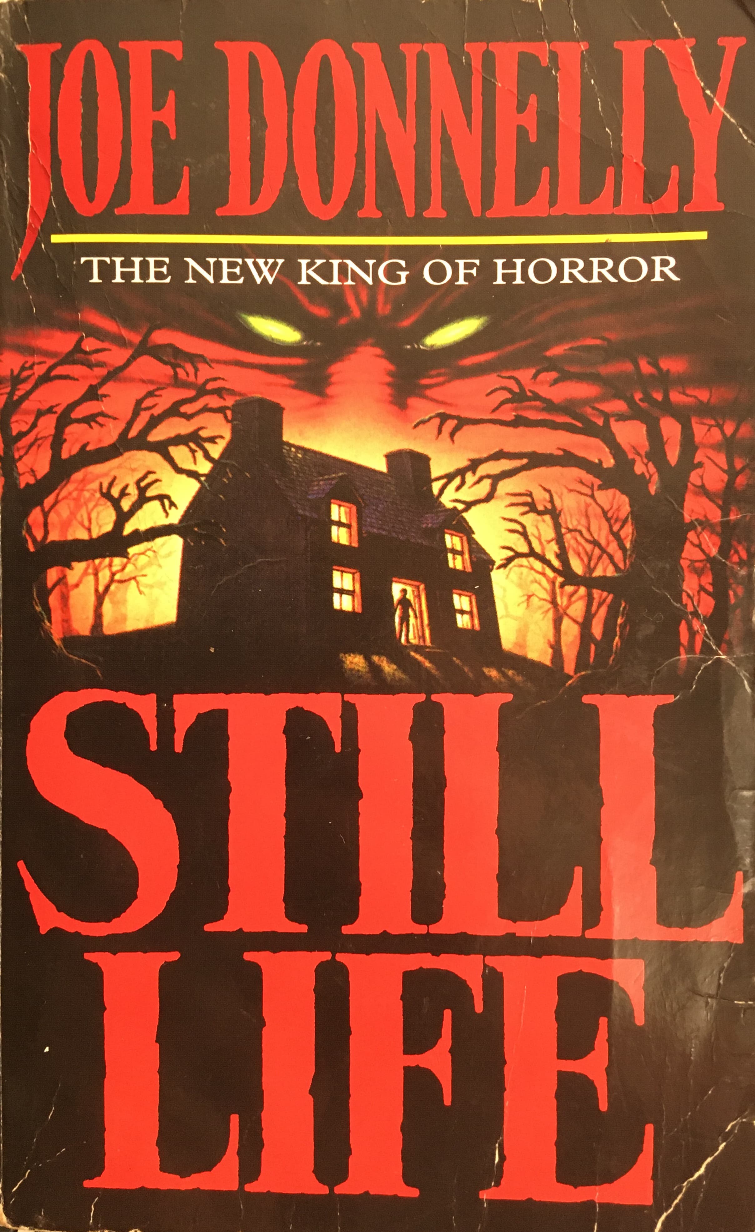 Still Life book cover