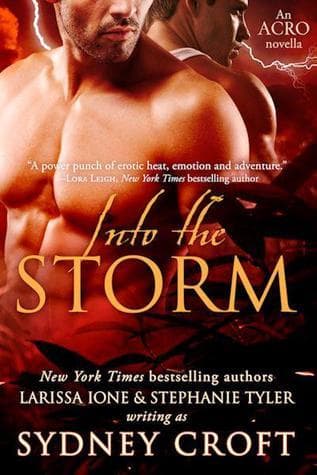 Into the Storm book cover