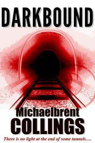 Darkbound book cover