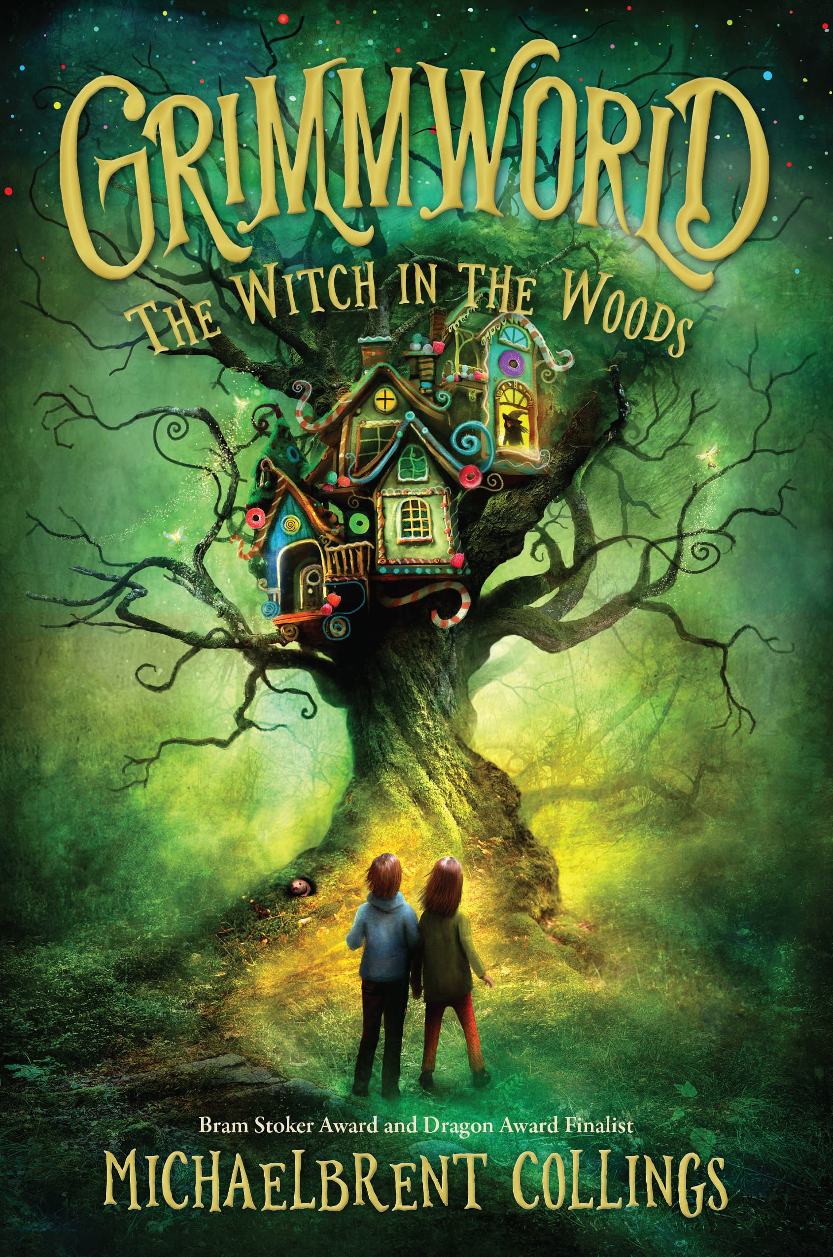 The Witch in the Woods book cover