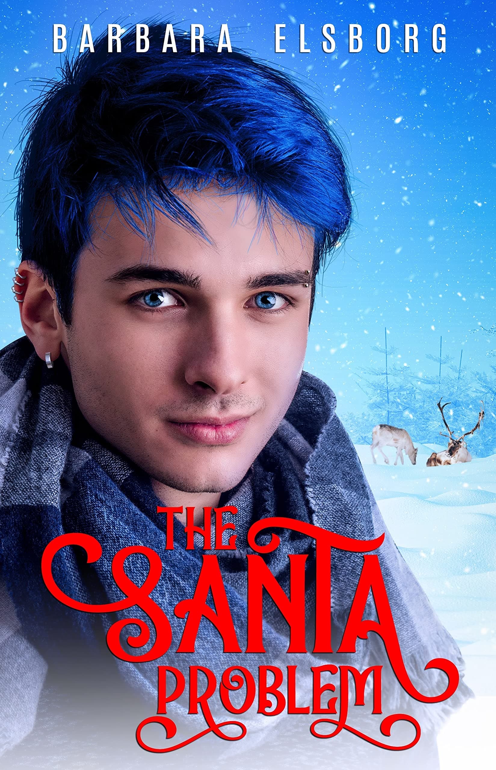 The Santa Problem book cover