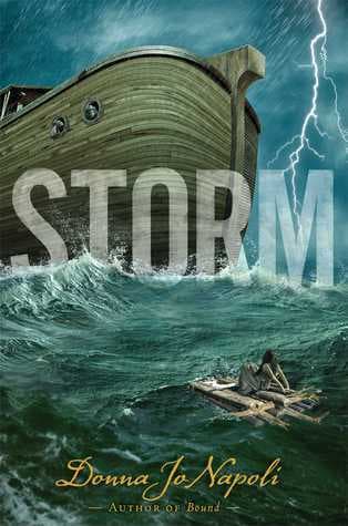 Storm book cover