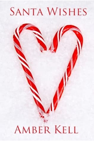 Santa Wishes book cover