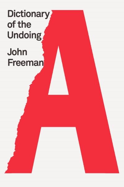Dictionary of the Undoing book cover