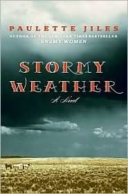 Stormy Weather book cover