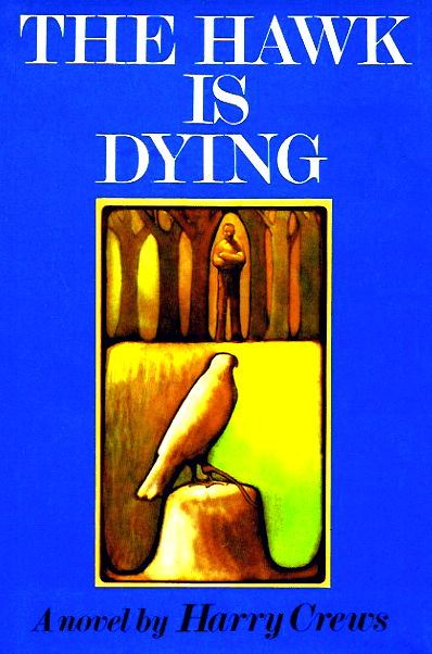 The Hawk Is Dying book cover