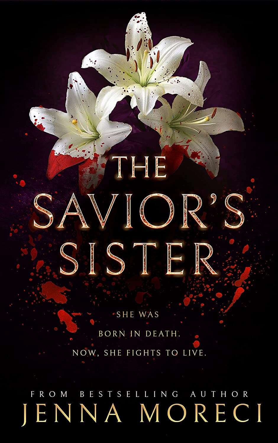 The Savior's Sister book cover