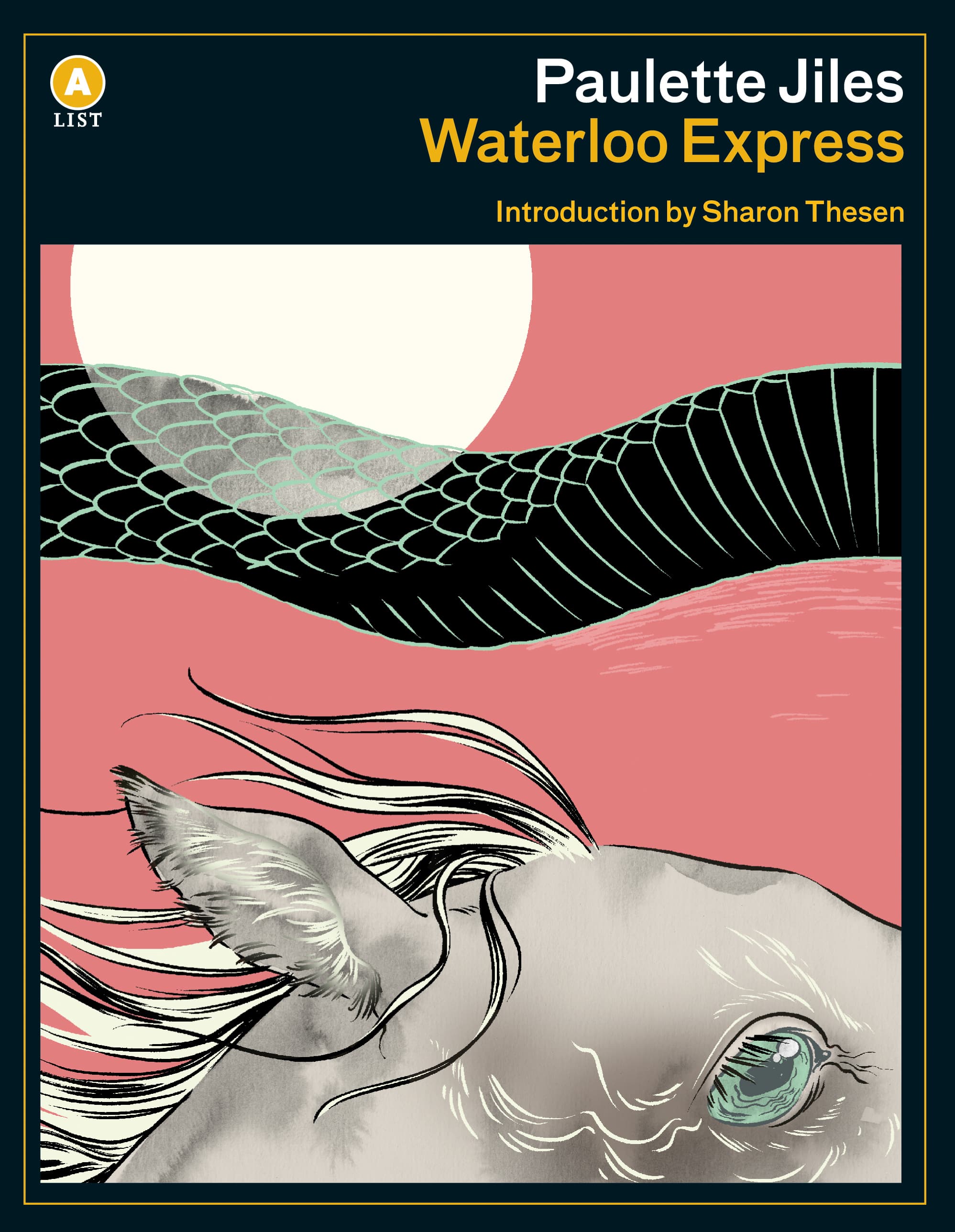 Waterloo Express book cover