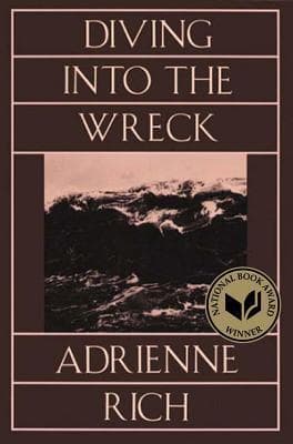 Diving Into the Wreck book cover