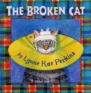 The Broken Cat book cover