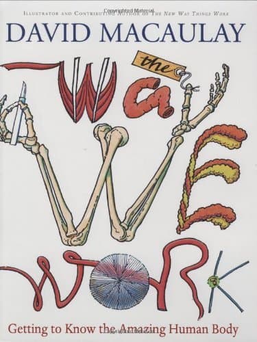 The Way We Work: Getting to Know the Amazing Human Body book cover