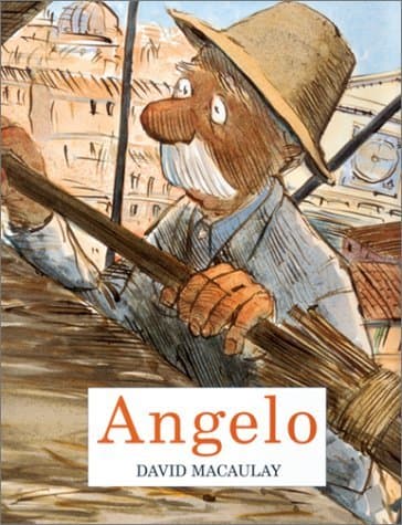 Angelo book cover