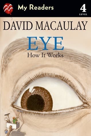 Eye: How It Works book cover