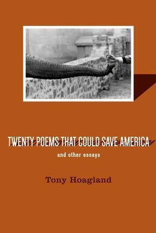 Twenty Poems That Could Save America and Other Essays book cover