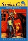 Horse Trouble book cover